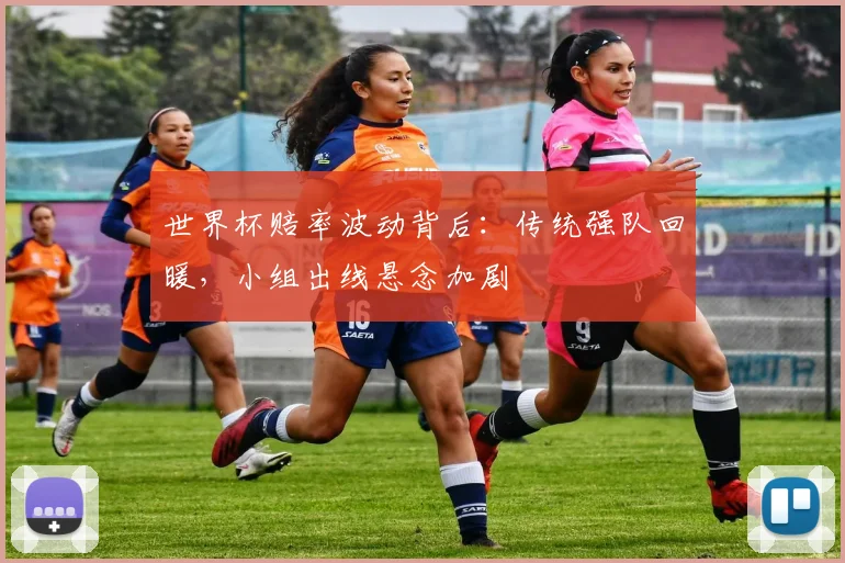 世界杯赔率波动背后：传统强队回暖，小组出线悬念加剧