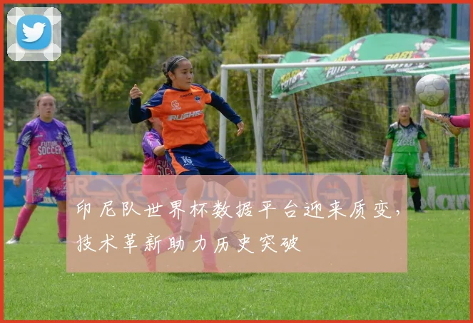 印尼队世界杯数据平台迎来质变，技术革新助力历史突破