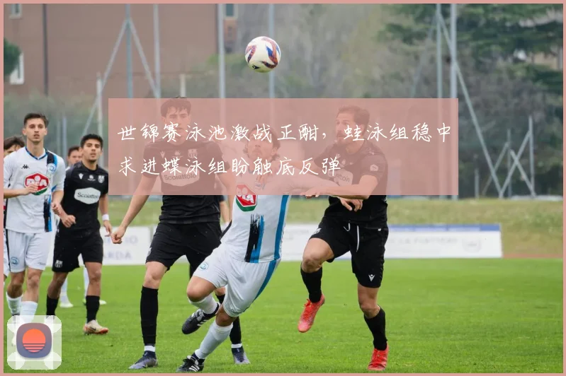 世锦赛泳池激战正酣，蛙泳组稳中求进蝶泳组盼触底反弹